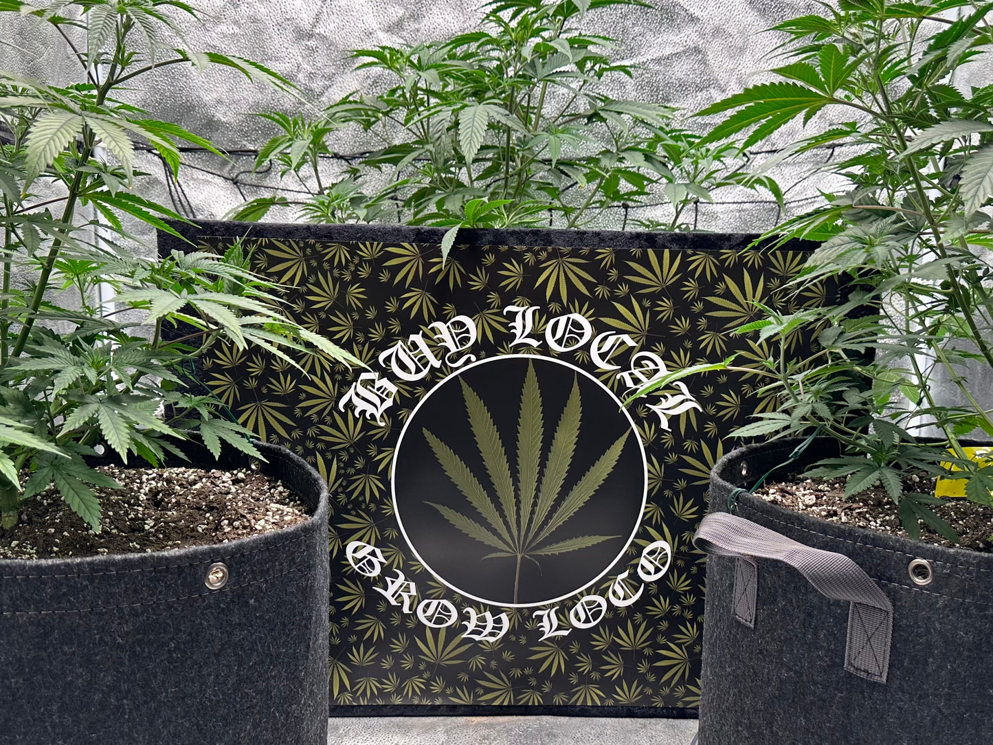 Buy Local Grow Loco